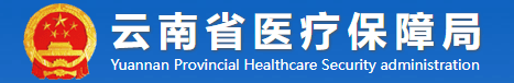 云南省医疗保障局关于印发《云南省基本医疗保险医用耗材支付目录(2025版)》的通知